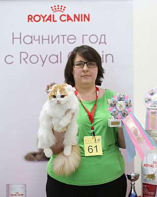 �������� ����� 11-12 ������ 2015, ������������ ���  sfs-56-169A3910 copy.jpg